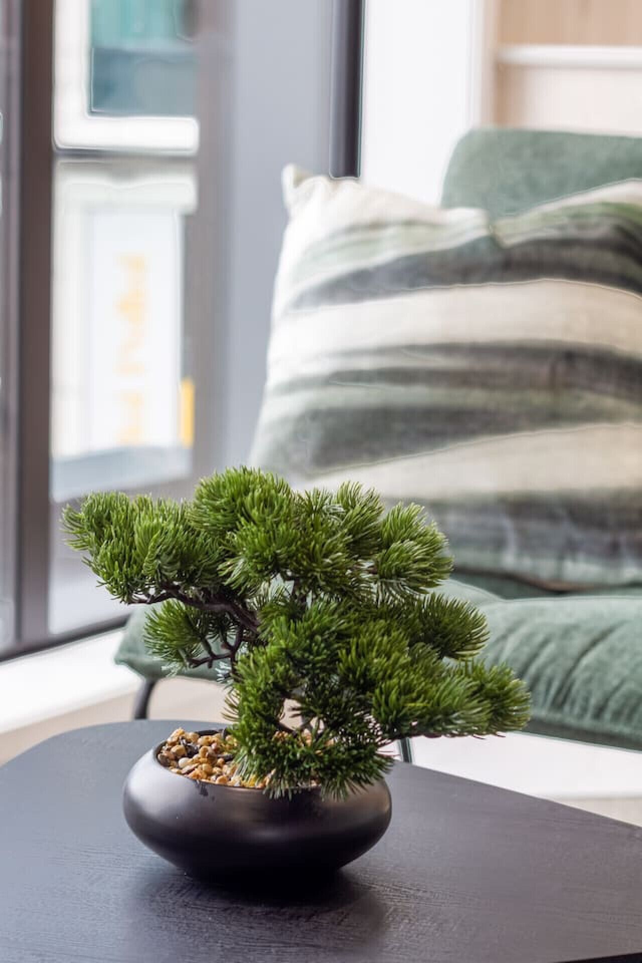 A bonsai tree in a black pot on a table, with a window and a couch in the background.