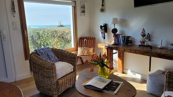 Televisión y libros