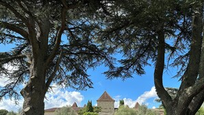 A pathway leading to a historic building with a tower, surrounded by trees and a clear sky.