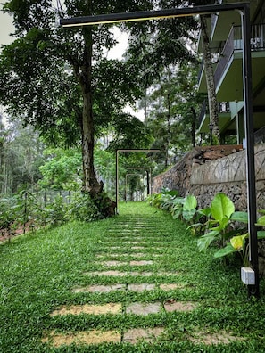 Vista del jardí