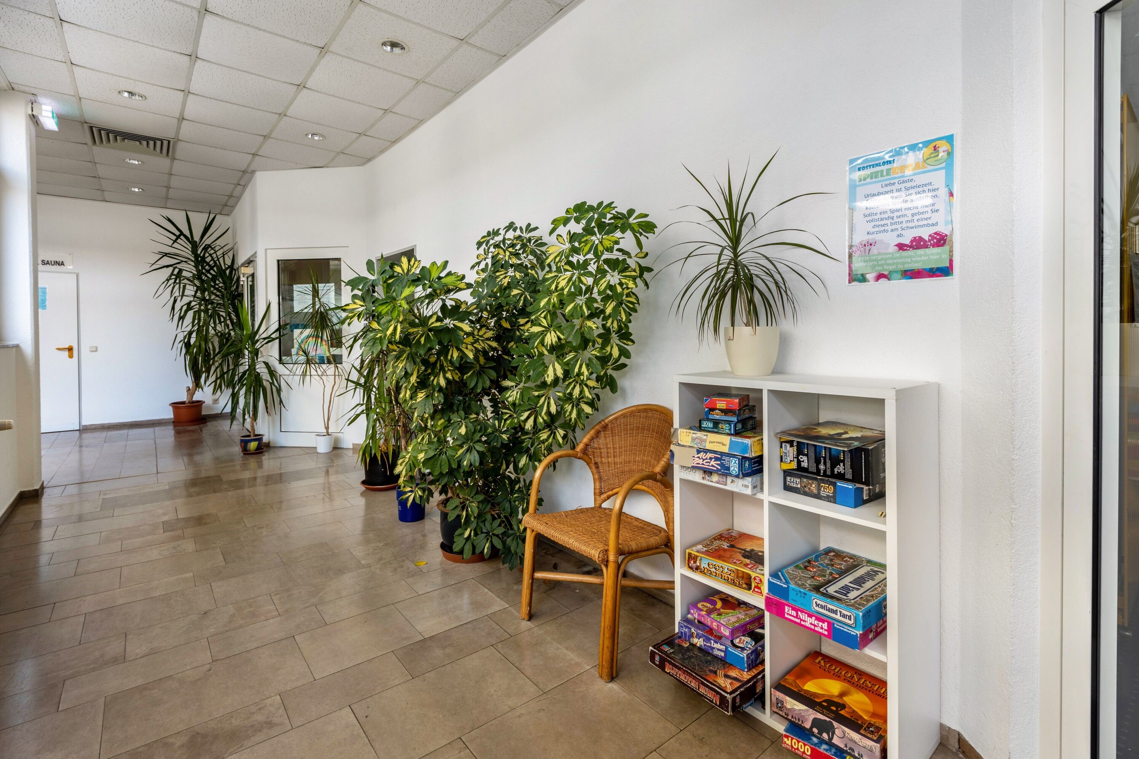 A hallway with a chair, potted plants, and a shelf with board games.