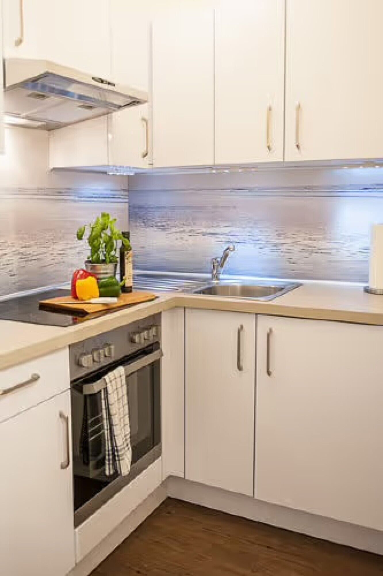 Coffee/tea maker, fridge, oven, stovetop