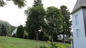 Il s’agit d’une propriété résidentielle dotée d’une pelouse bien entretenue, de différents types d’arbres et d’une maison avec un toit à pignon.