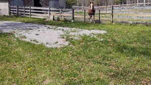 A barn with a metal roof, surrounded by a fenced area with grass and trees.