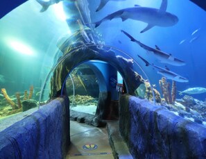 An underwater tunnel with sharks swimming above, surrounded by coral and rocks. - Oberhausen Urban Retreat (Oberhausen)