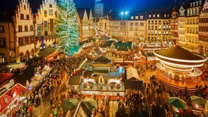 A bustling nighttime market with traditional architecture and a large illuminated Christmas tree. - Pleasant Apartment Near Centre (Oberhausen)