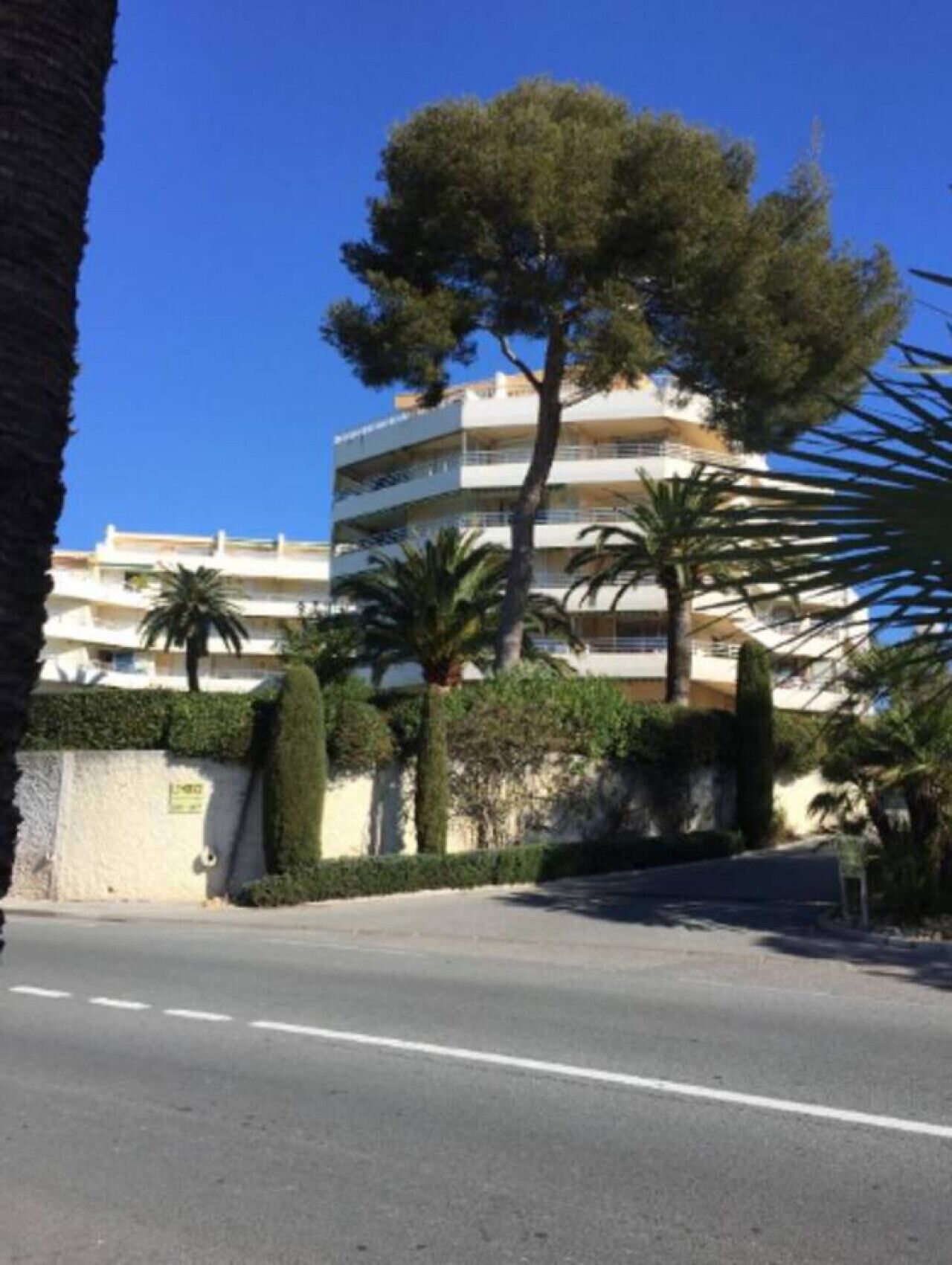 A multi-story building with balconies, surrounded by palm trees and a clear blue sky.