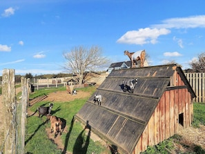 Maison | Vue depuis l’hébergement 