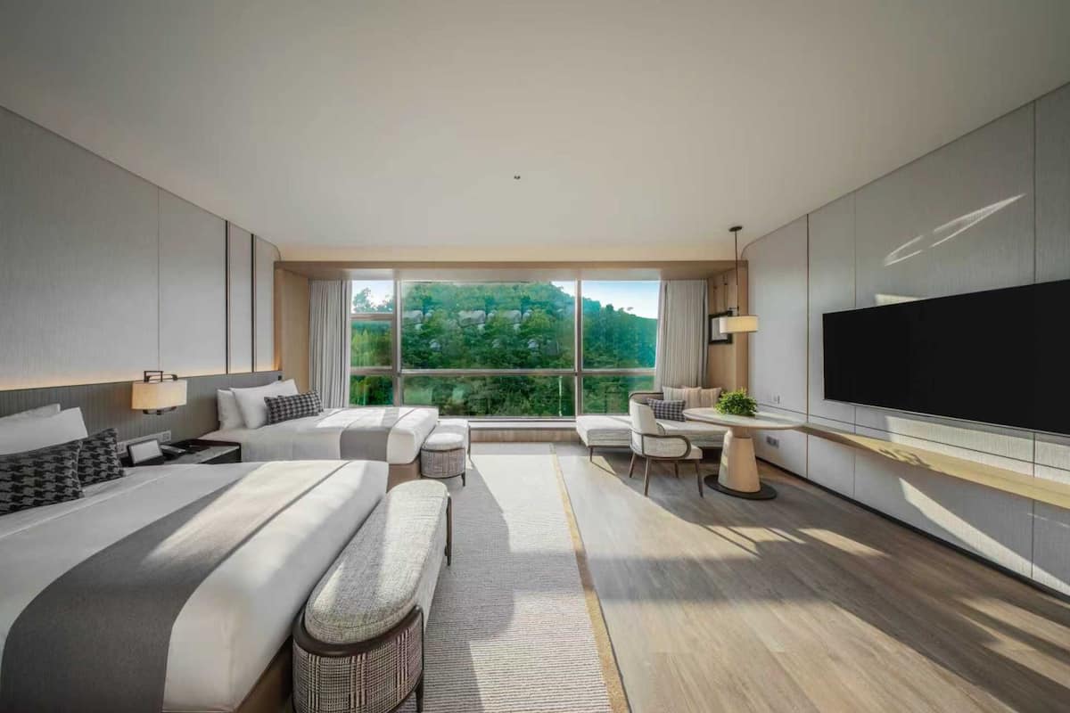 Deluxe Mountain View Twin Room | In-room safe, blackout drapes, free WiFi