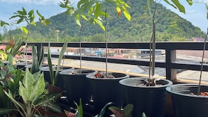 Un balcon agrémenté de plantes en pot et offrant une vue sur une montagne.