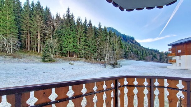 Ein Balkon mit Blick auf eine verschneite Landschaft, einen Wald und ein Gebäude im Hintergrund.