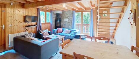 電視、壁爐、DVD 播放機