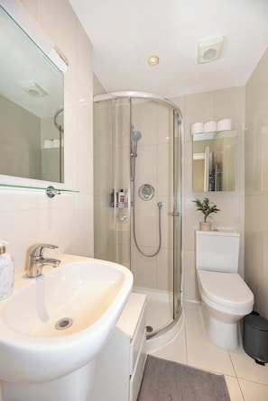 Shower, hair dryer, bidet, towels