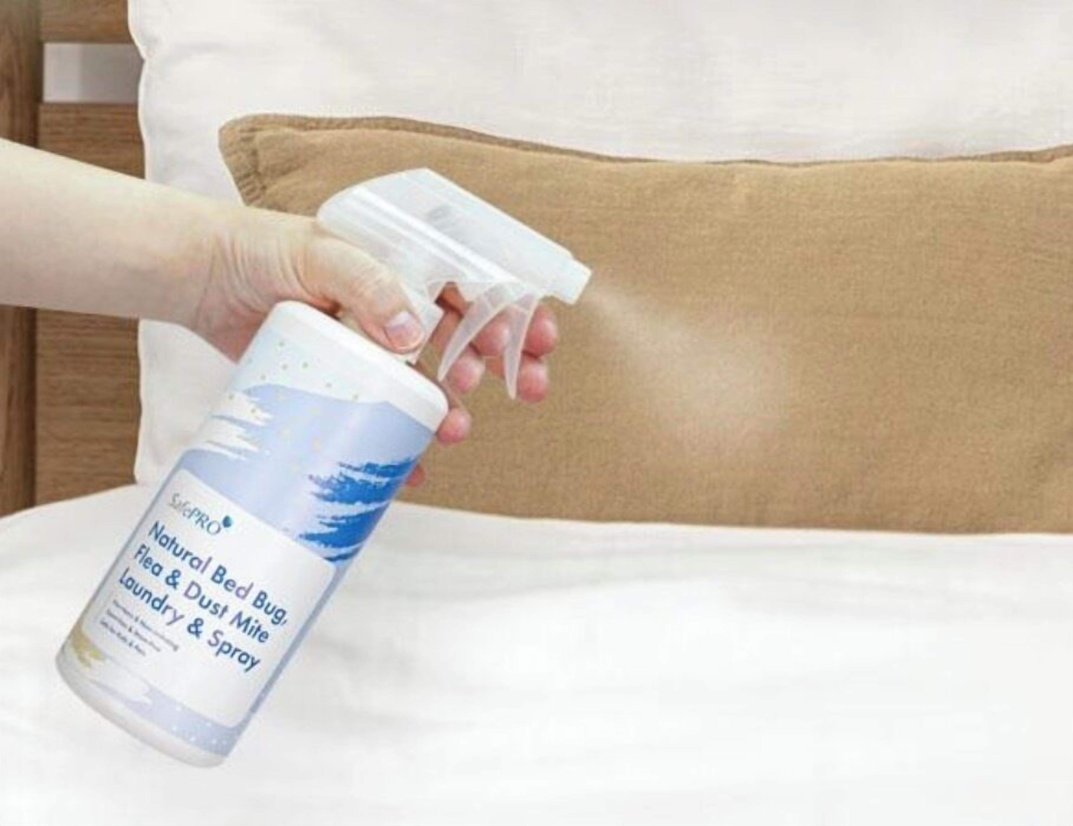 A person holding a spray bottle labeled 'Natural Bed Bug Laundry & Spray' over a bed with a brown pillow.