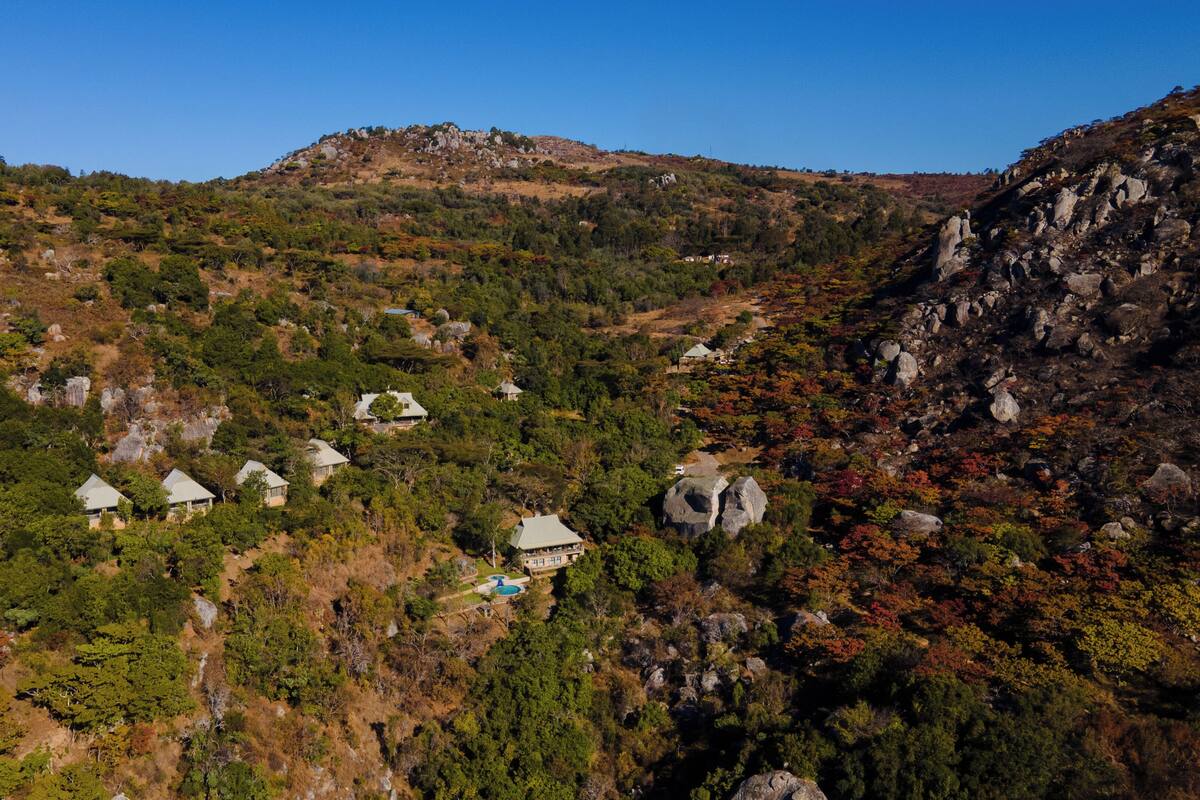 A mountainous area with several houses surrounded by dense forest.