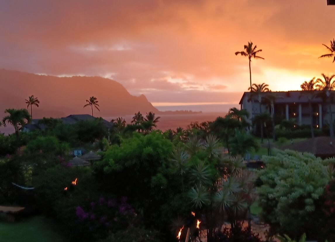 A tropical resort with palm trees, a mountain in the background, and a building with a roof.