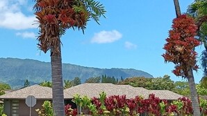 Un resort tropical con palmeras, un buzón y una montaña de fondo.
