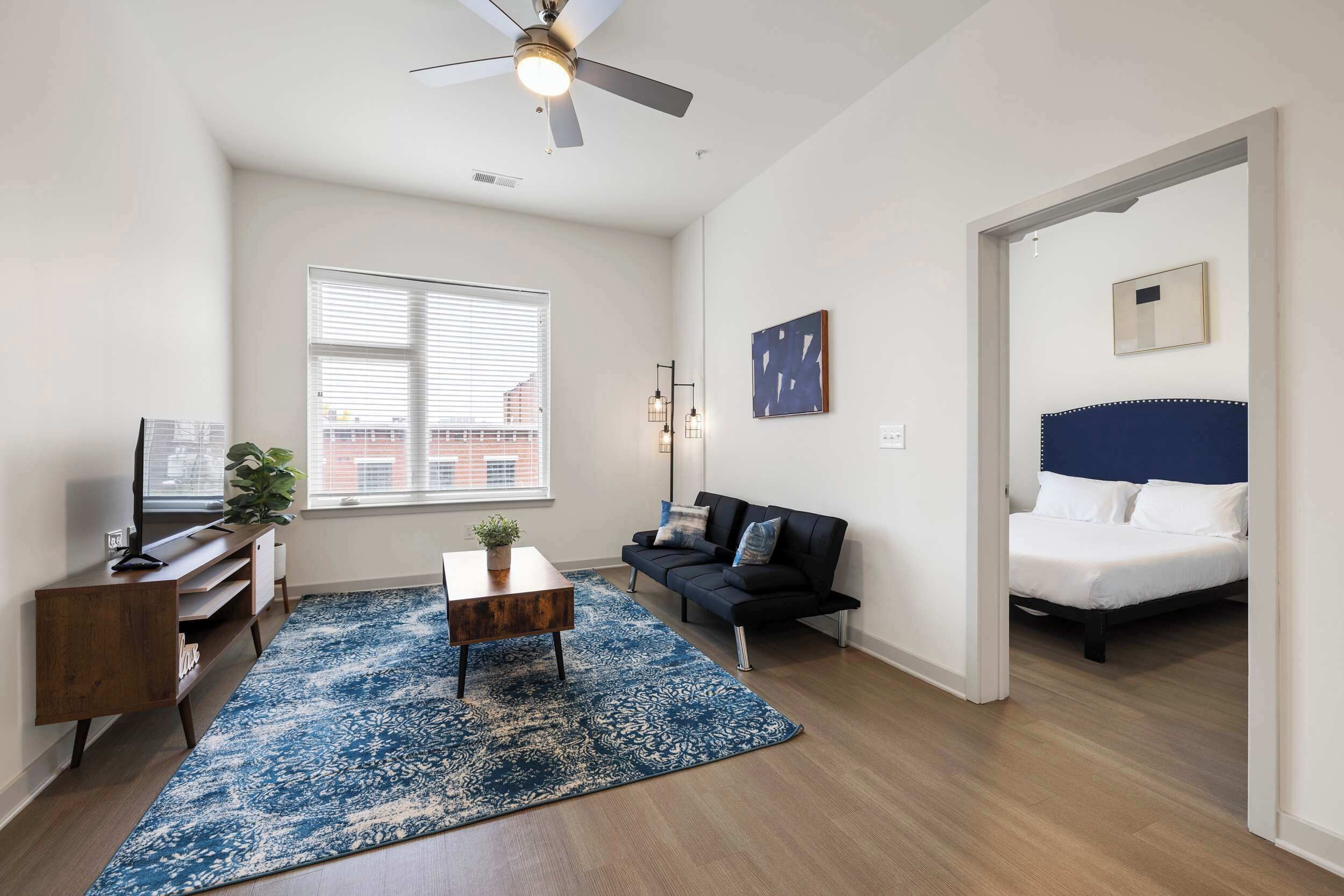 Televisión, oficina