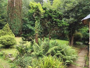Stroll through the lush garden, surrounded by trees and ferns, along a winding stone pathway to a serene gazebo.