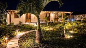 Una casa bien iluminada con un sendero que conduce a la entrada, rodeada de abundante vegetación y palmeras.