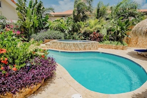 Apartment, 1 Bedroom, Accessible, Patio | Pool | Outdoor pool - Perfect 1-bedroom-apartment 2 km From Eagle Beach (Noord)