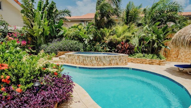 A swimming pool surrounded by lush tropical plants and a stone structure. - Perfect 1-bedroom-apartment 2 km From Eagle Beach (Noord)
