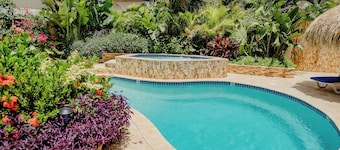 Perfect 1-bedroom-apartment 2 km From Eagle Beach