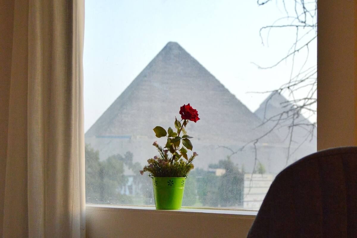 A window with a view of a pyramid, a green potted plant with a red flower, and a chair in the foreground.