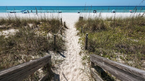 A sandy beach path leading to the ocean, surrounded by beach vegetation and wooden railings. - Vintage Waves (Panama City Beach)