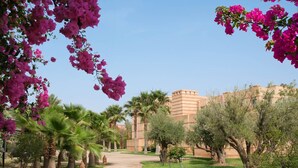 A pathway leading to a building with a flat roof and a beige facade, surrounded by greenery and pink flowers. - TAMARI (Marrakech)
