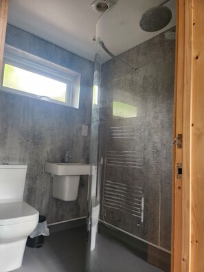 Shower, towels, toilet paper