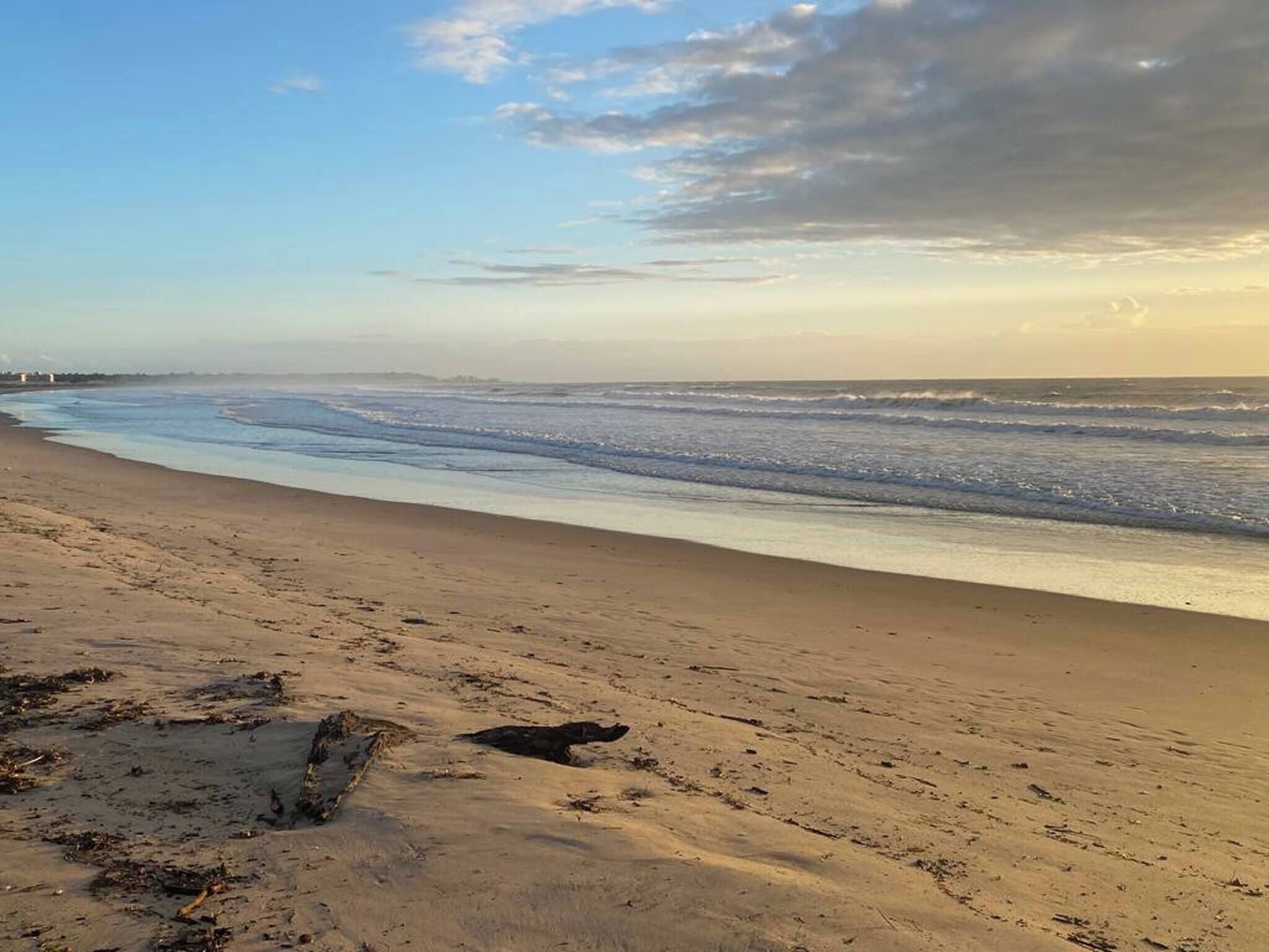 Villa, 4 Schlafzimmer, Raucher, Terrasse | Strand | In Strandnähe