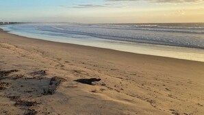 A beach with a sandy shore and waves. - Relaxing Beach Front Villa (Malindi)
