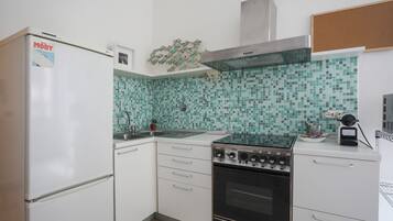 Family Apartment, 2 Bedrooms, Kitchen | Private kitchen | Electric kettle, toaster