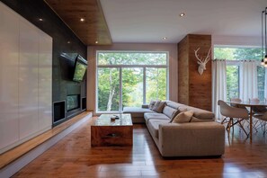 TV, fireplace, stereo - Spa, River and Comfort - Domaine de la Seigneurie (Sainte-Béatrix)