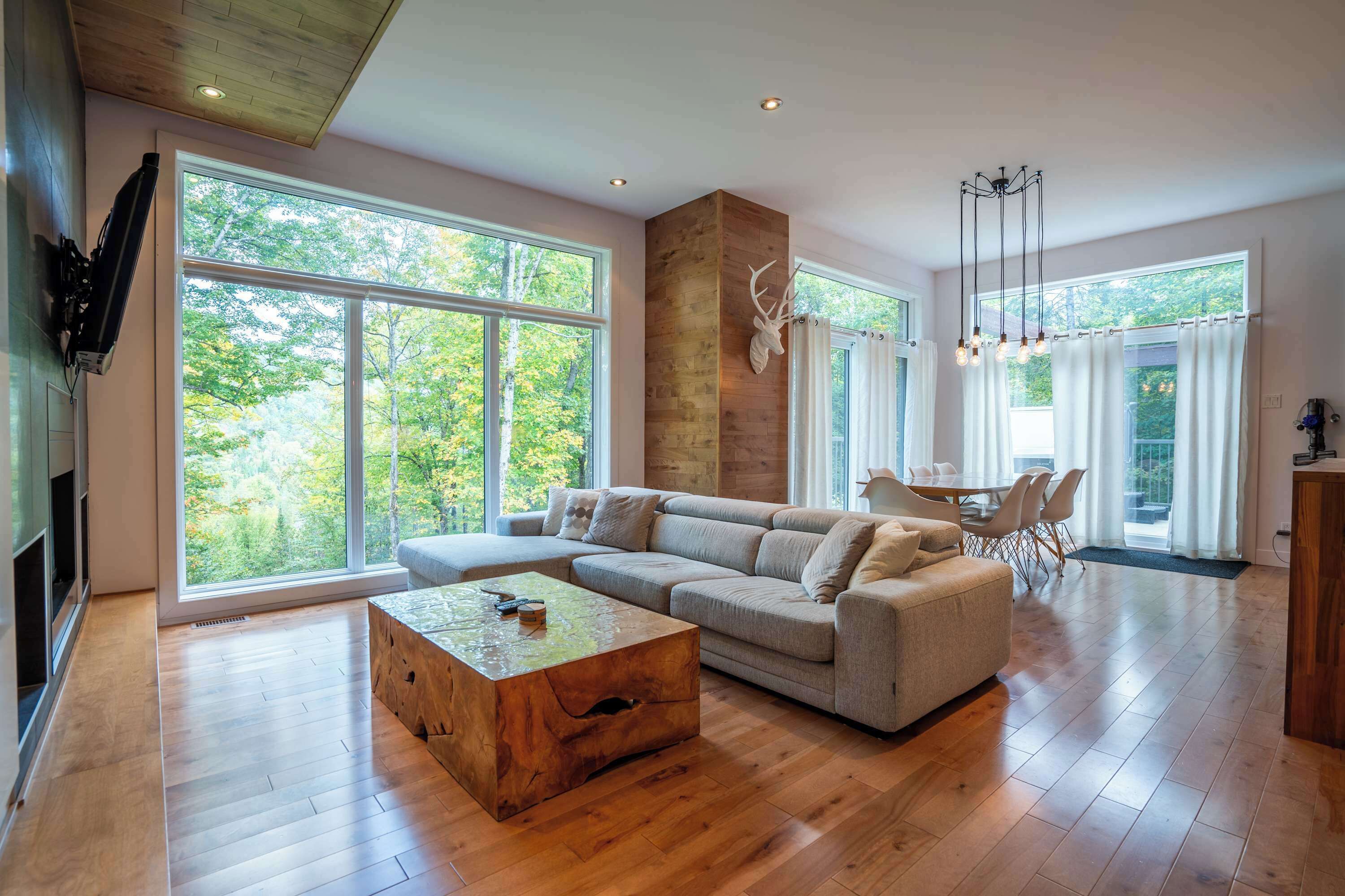 Télévision, cheminée, chaîne hi-fi