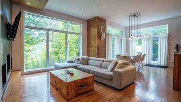 Télévision, cheminée, chaßne hi-fi