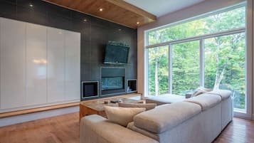 Télévision, cheminée, chaßne hi-fi