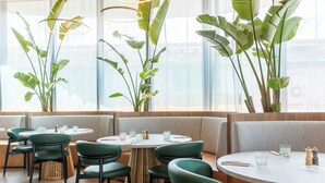 Ein Restaurant mit runden Tischen, grünen Stühlen und großen Fenstern mit Pflanzen.
