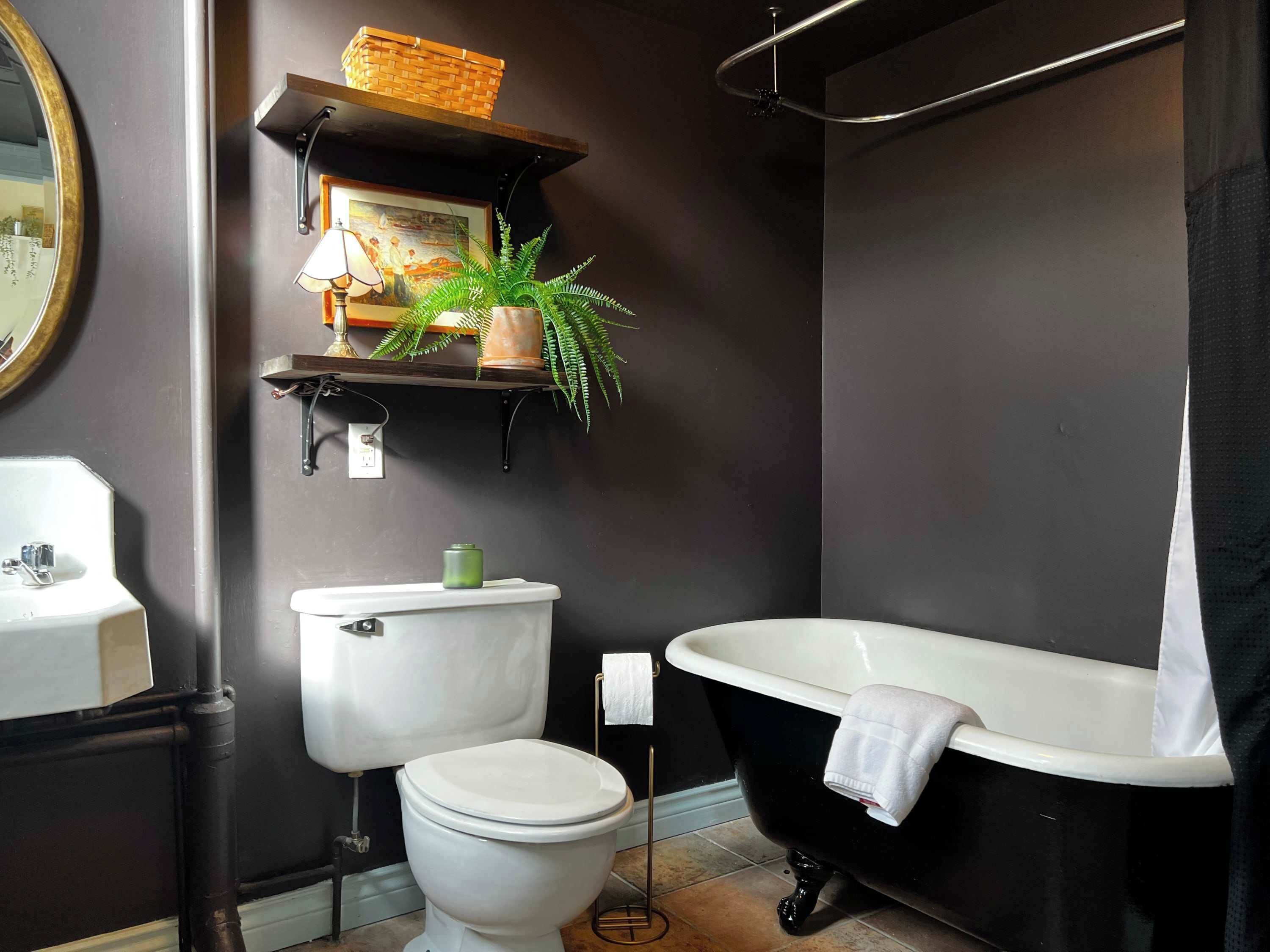 Shower, hair dryer, towels, toilet paper