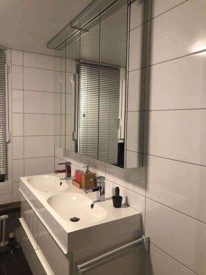 Shower, hair dryer