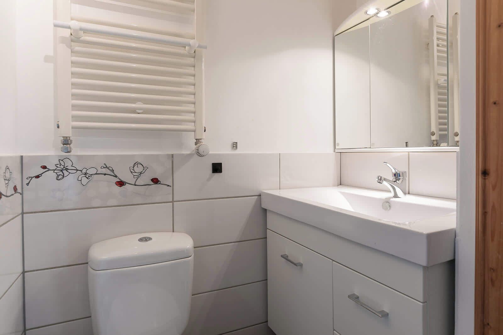 Shower, hair dryer, soap, shampoo