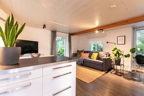 Fernseher