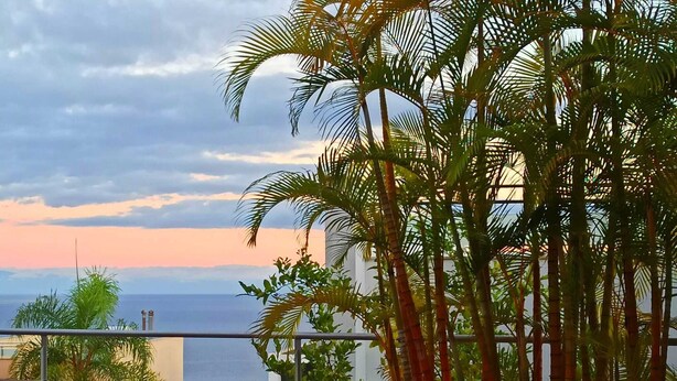 A balcony with a view of the ocean, palm trees, and a stone wall. - Villa Fénix Premium (Santa Cruz de Tenerife)