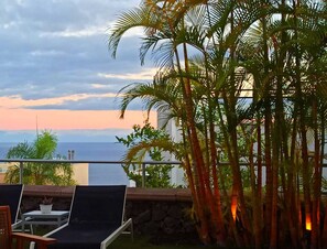 Een balkon met uitzicht op de oceaan, palmbomen en een stenen muur.