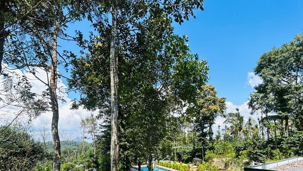 Un jardin luxuriant avec une piscine, entouré d’arbres et de différentes espèces de plantes.