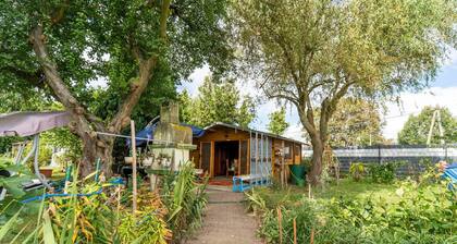 Cozy Family Stay in Petersberg
