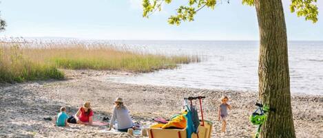 A beach scene with people sitting and walking, a tree, and a sign in German.