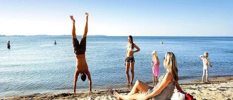 Apartemen | Pemandangan dari properti