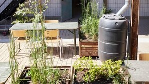A rooftop garden with potted plants and a water tank. - Suvelfabryk appartement 10 (Ljussens)